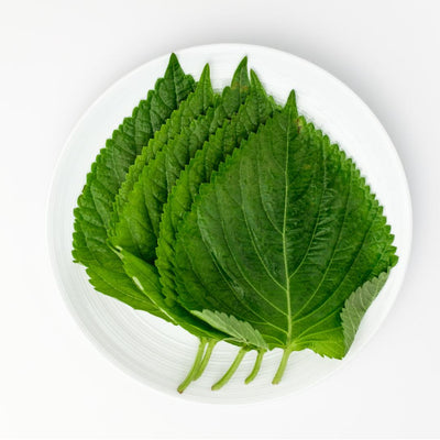 Perilla Leaves (2 Bunches)