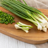 Green Onion (2 Bunches)