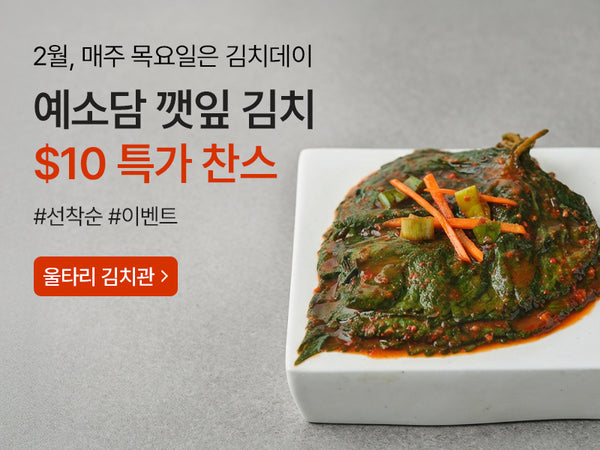 260219 김치데이