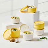 Iceway Silicone Frozen Container For Rice 240ml/350ml (8- Piece) Color Options_Korea Direct Delivery B