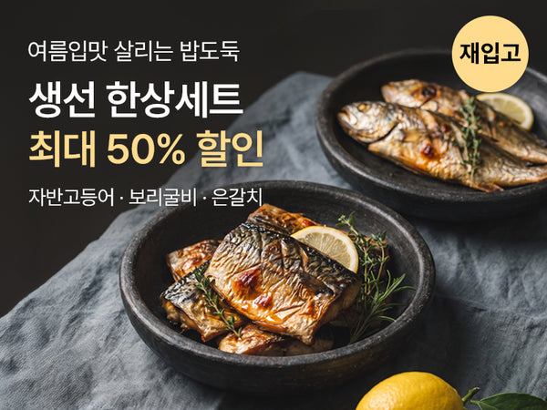 260626 자반고등어