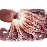 Korean East Coast Boiled Octopus 2kg