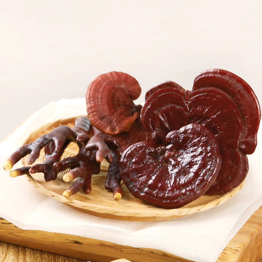 [솔룸바이오텍] 끓이는 영지버섯 (2.5g x 10ea)