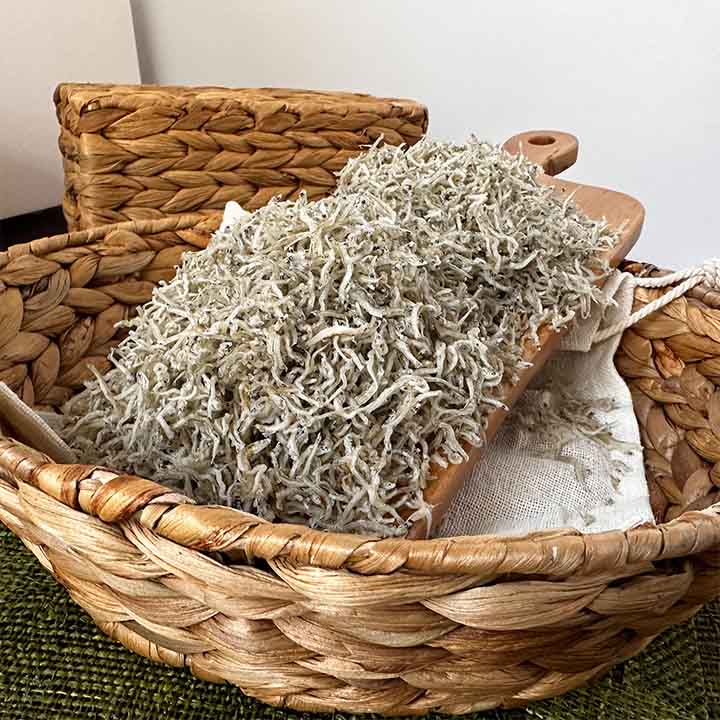 [한국직배송 A] 멸치청년단 프리미엄 볶음용 멸치세트(볶음멸치 1kg + 지리멸치 1kg)