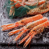 Jeju Red Banded Lobster Sashimi 200g