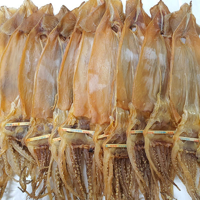 [한국직배송 B] 포항죽도시장 최상품 쪼글이 오징어 특특대 10미/20미 선택(한정수량)