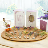 Chrysanthemum Flower Tea Stick (15 pcs) 15g