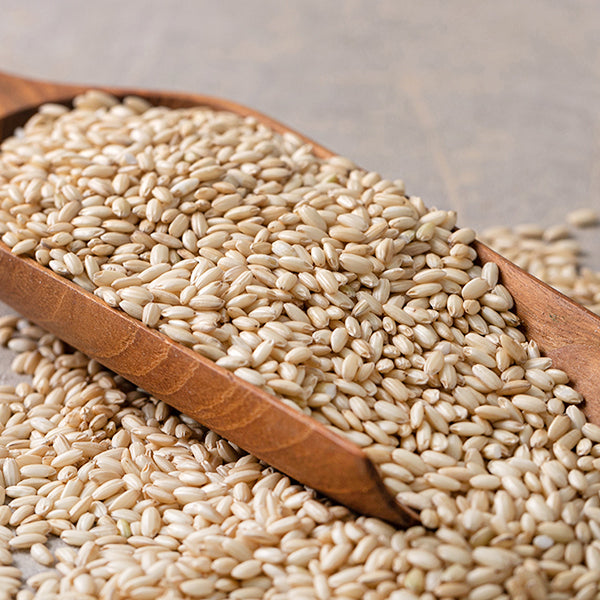 [2025년 햅쌀] 연수네쌀가게 고향찰현미 3kg x 3포대_무료배송 (묶음)