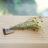 Chamomile Flower Tea Stick (15 pcs) 15g