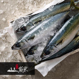 Jeju Mackerel 500g