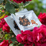 Hangover Helper (Relief) 3g X 4 Pack